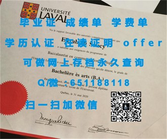 尼皮辛大学文凭：揭秘这所大学如何成就你的未来职业之路