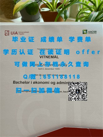 《揭秘新英格兰大学文凭：为何它是职场精英的黄金钥匙？》