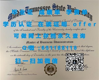 《新加坡东亚管理学院文凭：开启国际教育新篇章的秘密武器》