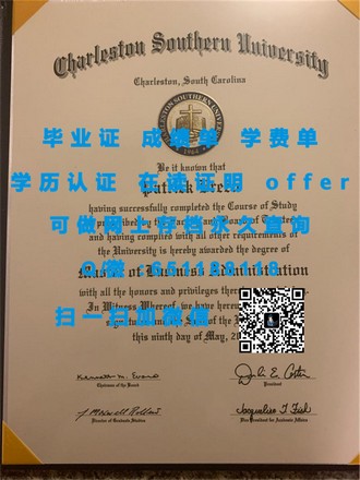 奥塔哥理工学院文凭：全球认可的卓越教育成就