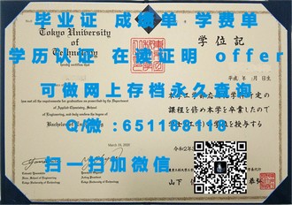 《都柏林城市大学文凭：全球认可的学历，开启国际职业新篇章》