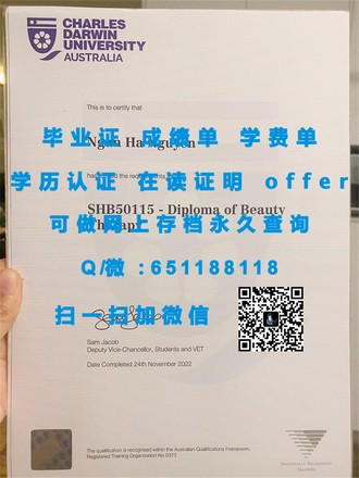 《利默里克大学文凭：解锁全球认可的教育成就》