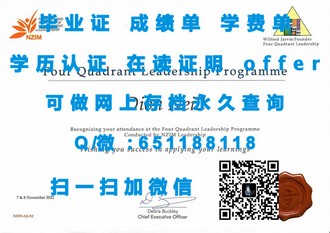 《南澳大学文凭：开启你国际视野的钥匙，掌握未来职场敲门砖》