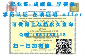 《麦考瑞大学文凭：成就未来职场精英的通行证》