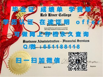 《艾芝西尔大学文凭：解锁国际教育之门，成就全球精英未来》