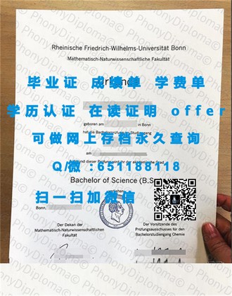 《埃塞克斯大学文凭：开启职业生涯的金钥匙，成就未来无限可能》