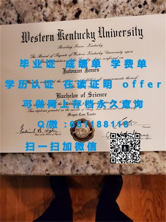 《蒂赛德大学文凭：解锁全球认可的教育新篇章》