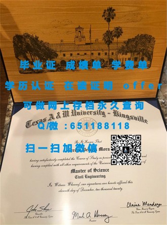 《阿伯泰邓迪大学文凭：开启国际教育新纪元的黄金钥匙》