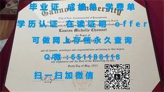 《白金汉大学文凭：开启国际教育新篇章的黄金钥匙》
