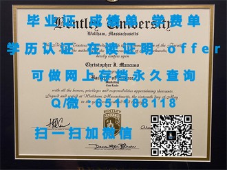 《揭秘亨里管理学院文凭：顶尖学府的卓越认证与未来职业的敲门砖》