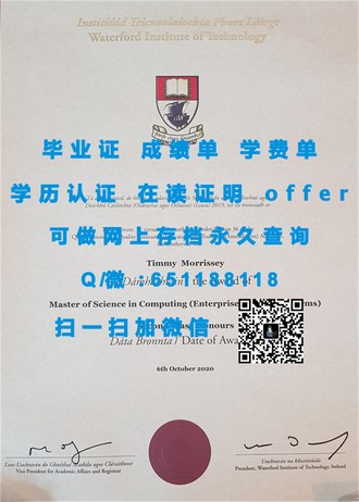 《揭秘伯明翰城市大学文凭：开启你的学术与职业新篇章》