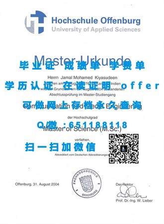 《利兹城市大学文凭：解锁国际教育新篇章的秘密武器》