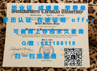 《巴斯思帕大学文凭：开启艺术与设计的卓越之路》