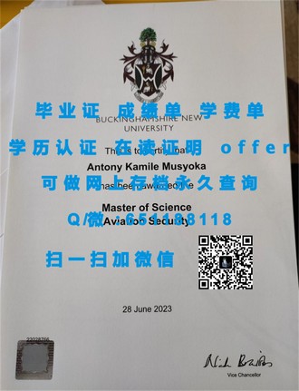 《新加坡管理发展学院文凭：成就未来商界领袖的黄金钥匙》