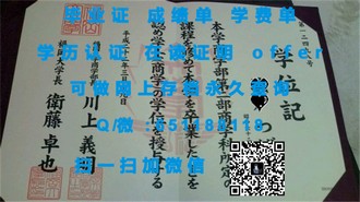 S.P.Jain管理学院文凭：解锁全球商业精英的通行证
