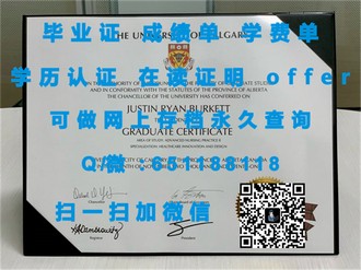 《奥克兰大学文凭：开启国际学术之旅的关键钥匙》