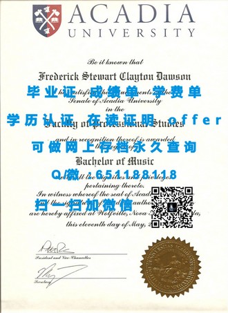 《肯高迪亚大学文凭：揭秘培养电影大师的摇篮，培养《天生杀人狂》等杰作的视觉革命力量》