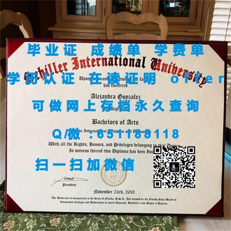 《利莫瑞克理工学院文凭：开启国际教育新篇章的秘密武器》