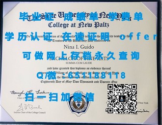 《南洋理工学院文凭：开启你的国际教育之旅》