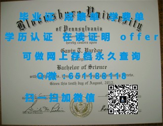 《S.P.Jain管理学院文凭：全球顶尖商业教育，助力职场飞跃》