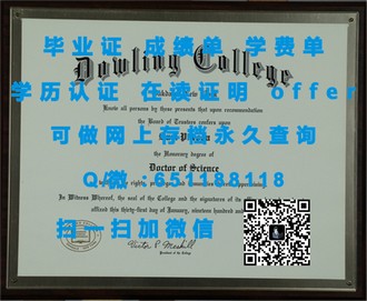 《苏塞克斯大学文凭：开启国际教育新篇章的秘密武器》