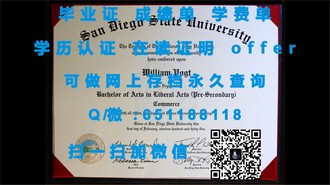 《纽卡斯尔大学文凭：开启全球认可的学术之旅》