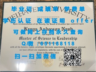 《伦敦大学文凭：揭开英国顶级学府的教育魅力与全球认可度》