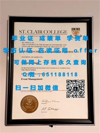 《利默里克大学文凭：揭秘全球顶尖教育机构的卓越成就》