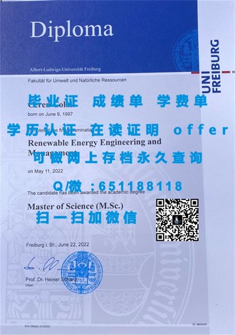 《南安普顿索兰特大学文凭：揭开世界顶级学府的教育奥秘》