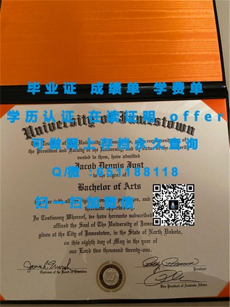 《揭秘南洋理工学院文凭：就业市场的金钥匙》