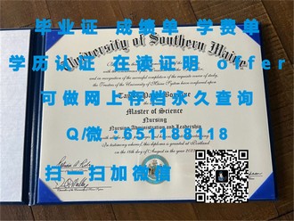 《意大利比萨大学文凭：全球认可的学术荣耀，开启你的国际生涯之旅》