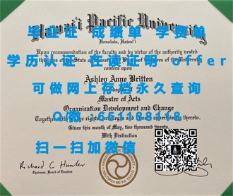 S.P.Jain管理学院文凭：解锁全球商业精英梦寐以求的学位之路