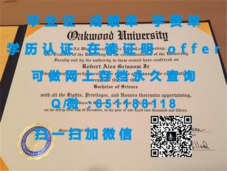 《都柏林理工学院文凭：开启全球认可的学术大门》