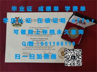 《南昆士兰大学文凭：开启国际教育新篇章的秘密武器》