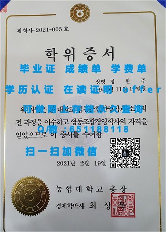 《南安普顿大学文凭：开启国际学术之旅的黄金钥匙》