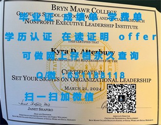 《纽卡斯尔大学文凭：开启你的国际学术之旅》