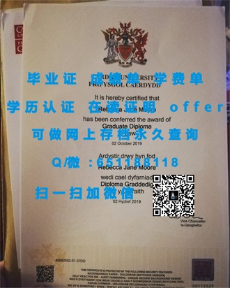 《安格利亚罗斯金大学文凭：开启国际教育新篇章的秘密武器》