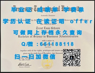 《惠灵顿理工学院文凭：开启国际教育新篇章的关键凭证》