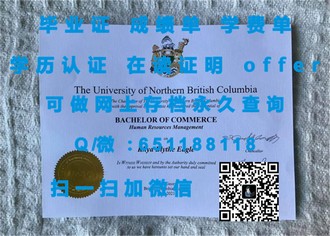 新西兰林肯大学文凭：开启国际认可的教育之旅