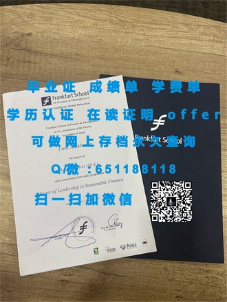 《马努考理工学院文凭：开启未来职业道路的黄金钥匙》