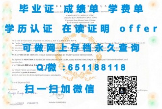 《新加坡管理发展学院文凭：开启职场精英之路的关键钥匙》