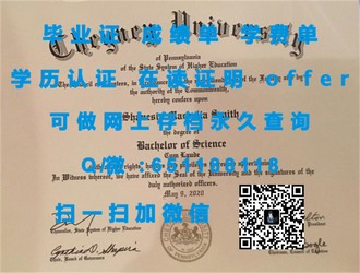 《诺丁汉大学文凭：开启全球认可的学术之旅》