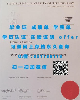 鲁顿大学文凭：揭秘全球知名学府的含金量与就业前景