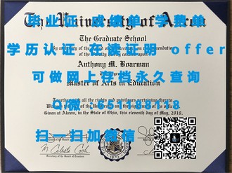 《都柏林城市大学文凭：全球认可的学历，开启你的国际职业生涯》
