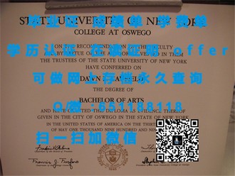 《都柏林理工学院文凭：开启全球认可的学术之旅》