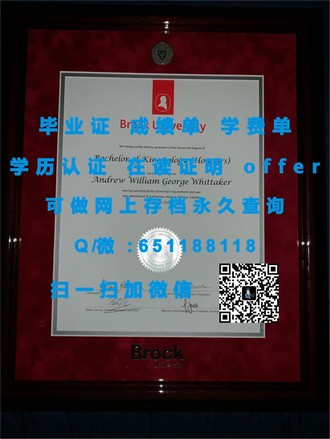 《塔斯马尼亚大学文凭：开启国际学术生涯的钥匙》