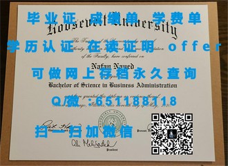 《布鲁奈尔大学文凭：揭秘世界顶尖学府的荣耀与价值》