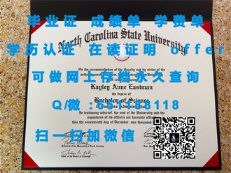 《格拉斯哥卡利多尼亚大学文凭：开启你的艺术与设计之路》