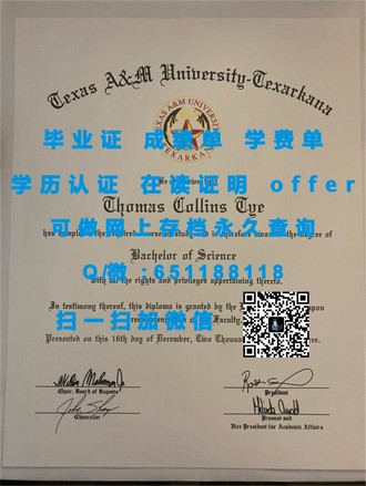 《福尔茅斯大学学院文凭：开启你的艺术与设计未来之路》