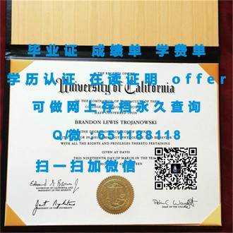 《奥克兰商学院文凭：全球认可的商学教育，开启你的商业未来之路》